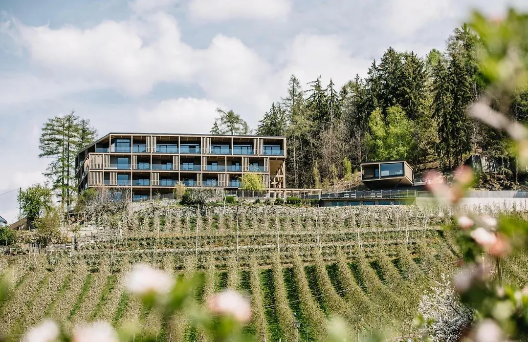 Panoramic Suites Winzerhöhe-1